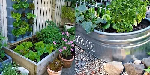 UH Garden Club Presents Gardening in Small Spaces with Master Gardeners