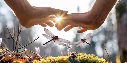 Reiki I Class (Okemos)