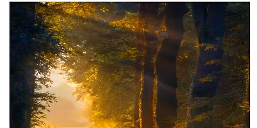 \ud83c\udf40 Lankheet klaver4wandeling 