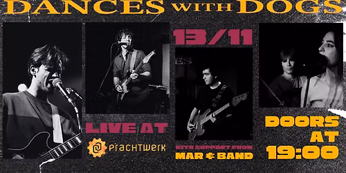 Dances with Dogs Anniversary