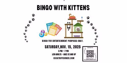 Bingo With Kittens