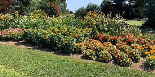 Plant Trial Open House 