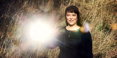 William Chalmers-f\u00f6rel\u00e4sning 2025: "Snabbare \u00e4n blixten: elektronstr\u00e5lar i plasma"