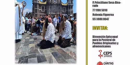 PEREGRINACI\u00d3N DE LOS PUEBLOS AFROS EN M\u00c9XICO
