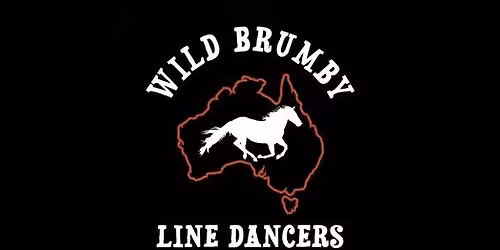 Wild Brumby Social
