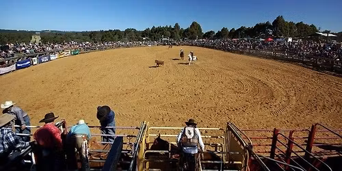 HARVEY DICKSON RODEO 2026