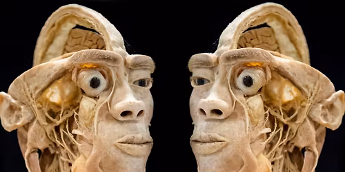 Sonderausstellung "echte menschliche K\u00f6rper" Bad D\u00fcrrheim