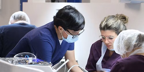Accesia Academy Course: Dentistry II