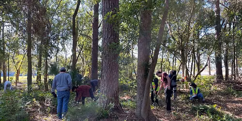 Maintenance Day in the LSU New Orleans Woodlot 