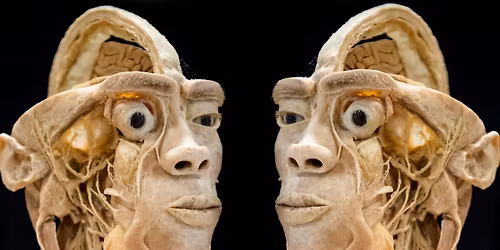 Sonderausstellung "echte menschliche K\u00f6rper" Kehl