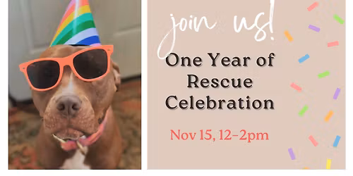 One Year of Rescue Celebration & Fundraiser