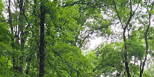 A Summer Gathering in Nature