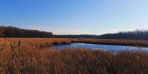 Fathers Day Stroll (Adults and Ages 8+)