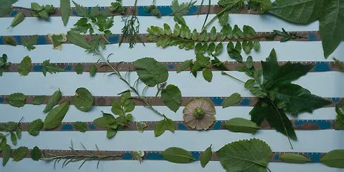 China-America Reel Ecology (CARE) Student Film Showcase - Screening 1