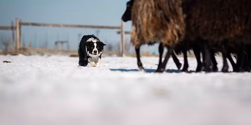 Semin\u00e1\u0159 CS - Beate Behr