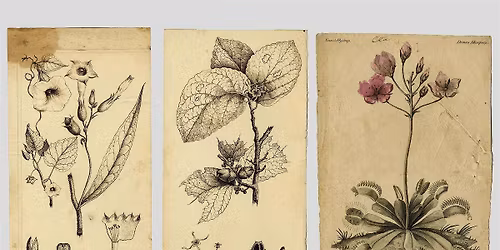 Adventive America: Follow the Plants