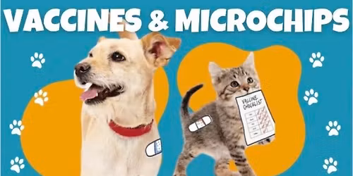 Microchip & Vaccination clinic @ KT Animal