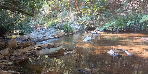 Nature Play Group - Gulaga\/Drom Creek