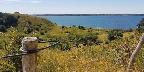 Fredagsvandring: Ejby \u00c5dal og Ryegaard Dyrhave, ca. 13 km.