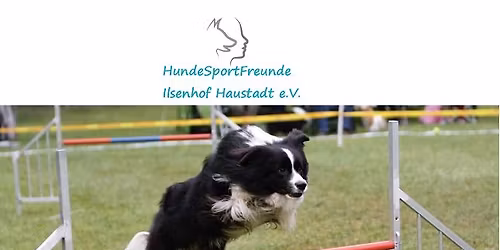 8.Agility Turnier