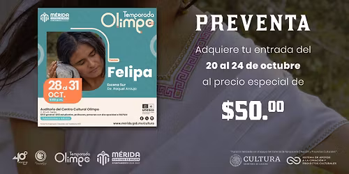 FELIPA \u00b7 Un rela\u0301mpago en la oscuridad.