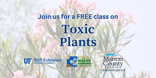 Toxic Plants