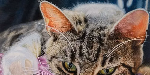 Workshop | Colored Pencil Drawing & Painting 3-Week