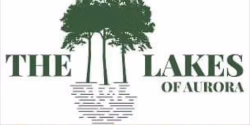 Lakes of Aurora garage sale 