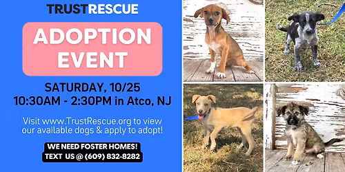 🐶 ADOPTION EVENT 🐾 by Trust Rescue