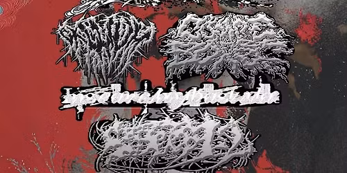 Gxllium, Flowers For Persephone, callmetheBoxer..., Insearchofbastila, sixteen12swag