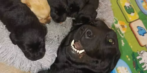 Wizyta w Kujawsko - Pomorskim Urz\u0119dzie Wojew\u00f3dzkim 