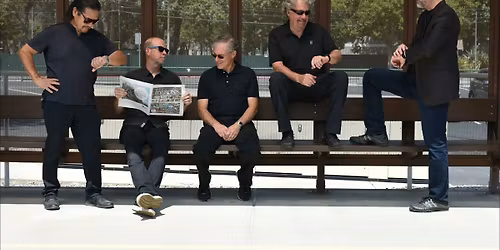 Audio Illusion Band Live Music @ Las Positas Vineyards Livermore