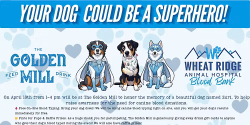 Pints & Paws: Free Canine Blood Typing in Honor of Zuri \ud83d\udc3e\ud83c\udf7b