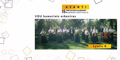 Festivalis AVANTI | VDU kamerinis orkestras