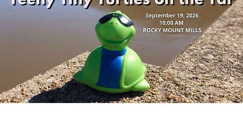 Teeny Tiny Turtles on the Tar