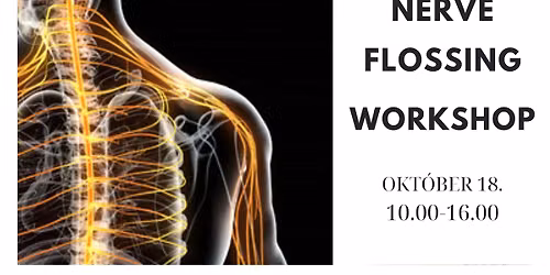 NERVE FLOSSING WORKSHOP