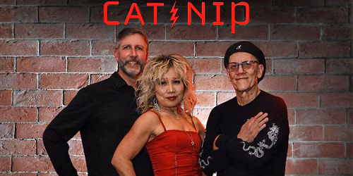 CAT NIP Summer Season Saturday Night at Three Jolly Pigeons