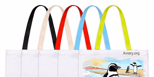 Brushes & Birds: Beach Bag (21+)