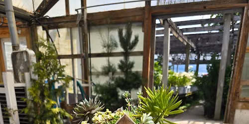 Birdhouse Roof Planting Workshop