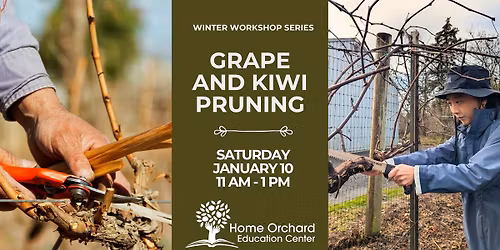 Grape and Kiwi Pruning