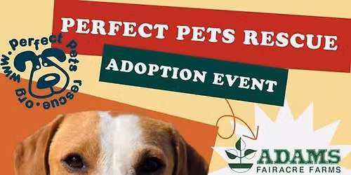 Perfect Pets Rescue Adoption Event at Adams Poughkeepsie