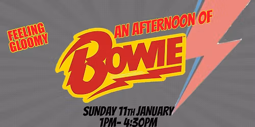 An Afternoon of David Bowie - Sun 11th January, 1pm-4:30pm
