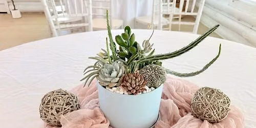 Shopping & Succulents: Boutique Succulent Arrangement Workshop