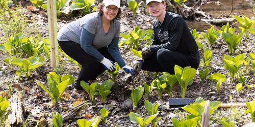Volunteer: Habitat Restoration