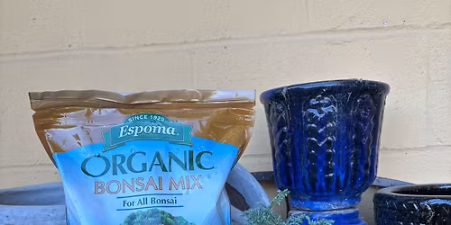 Bonsai for Beginners 2.0