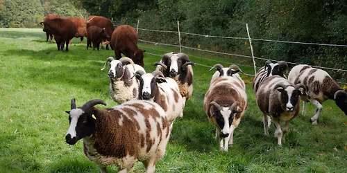 Southern Region Open Day