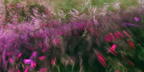 EMBRZ in San Francisco