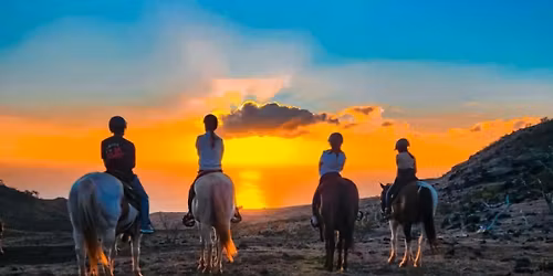 Oahu on Horseback - Daily