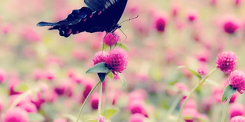 Matters of Life and Death