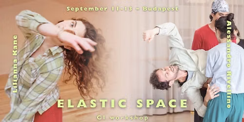 ELASTIC SPACE - CI workshop